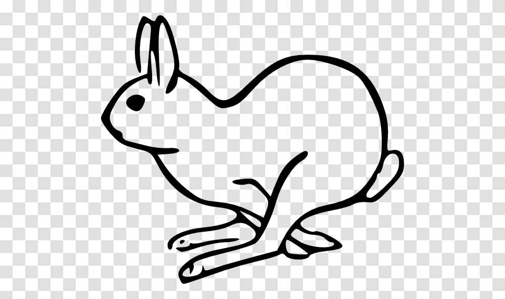 Rabbit Clip Art, Animal, Mammal, Rodent, Bunny Transparent Png