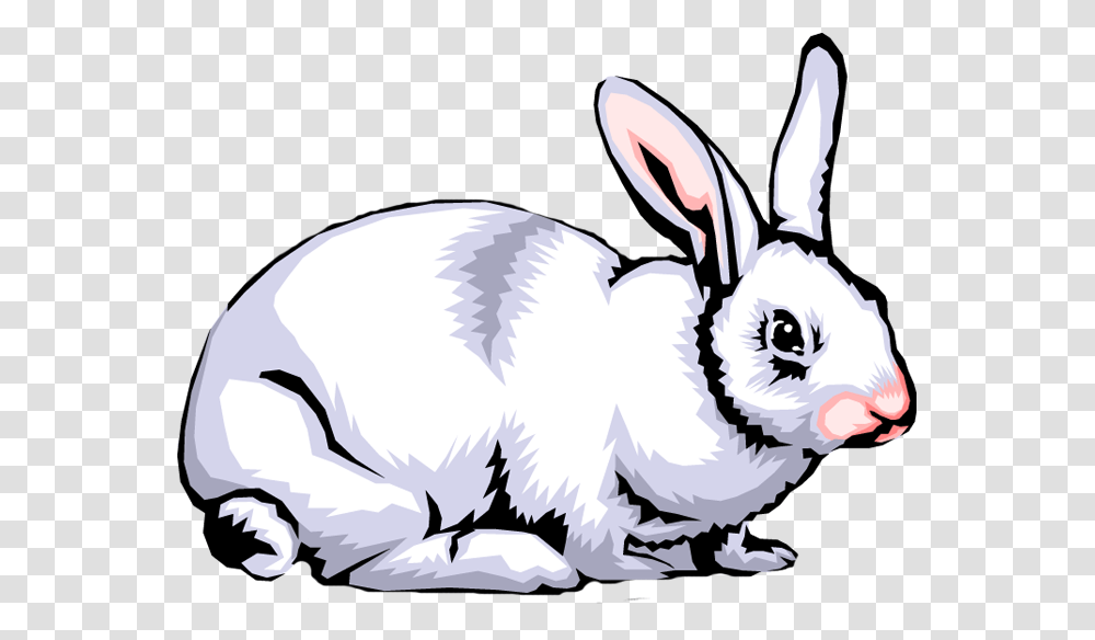 Rabbit Clip Art Images, Bird, Animal, Rodent, Mammal Transparent Png