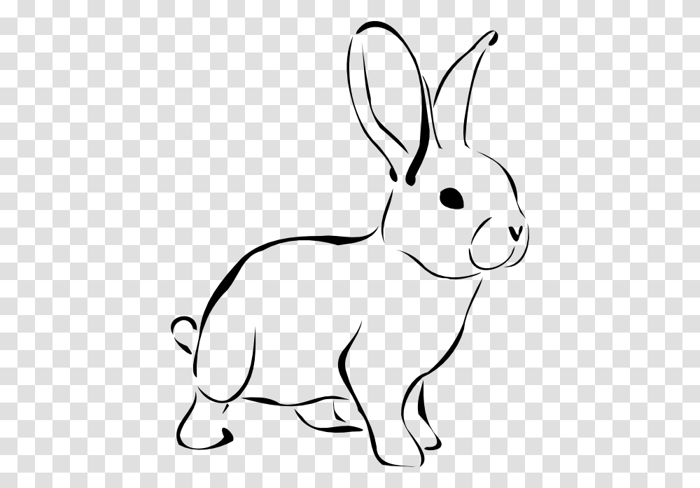 Rabbit Clip Art, Rodent, Mammal, Animal, Bunny Transparent Png