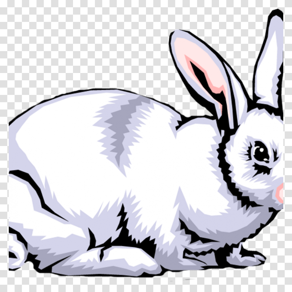 Rabbit Clipart Free Free Clipart Download, Bird, Animal, Hare, Rodent Transparent Png
