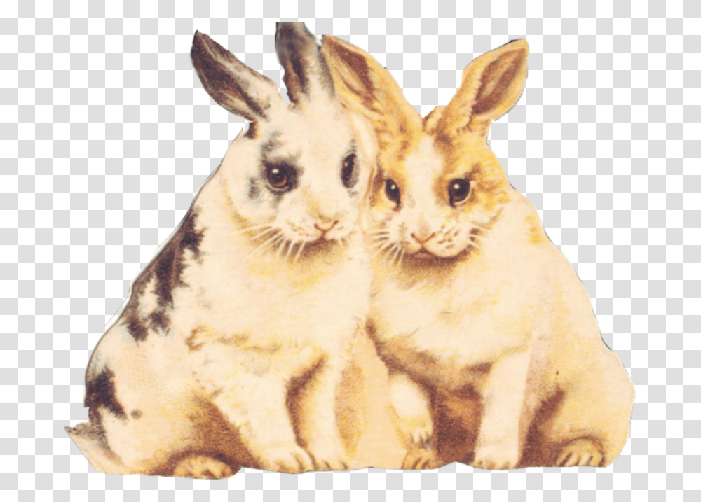 Rabbit Clipart Fur Clip Art, Rodent, Mammal, Animal, Hare Transparent Png