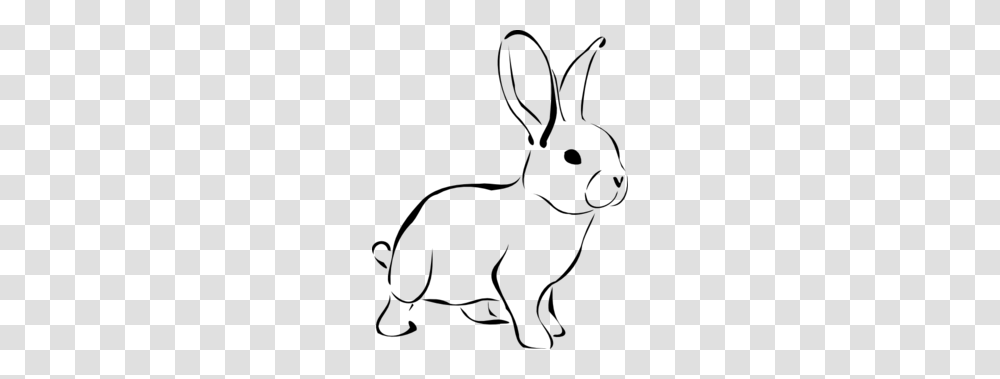 Rabbit Clipart, Gray, World Of Warcraft Transparent Png