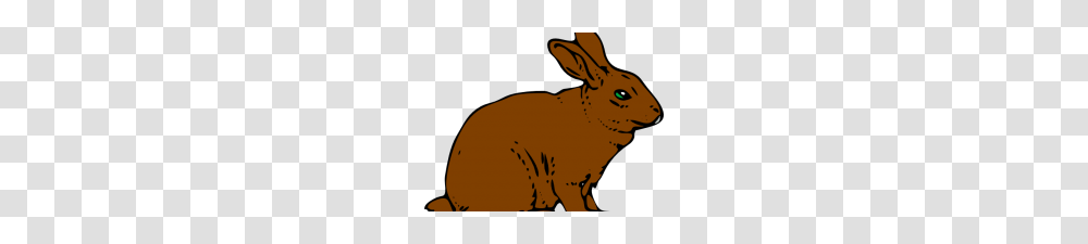 Rabbit Clipart Images Classroom Clipartclipart Download Wallpaper, Hare, Rodent, Mammal, Animal Transparent Png