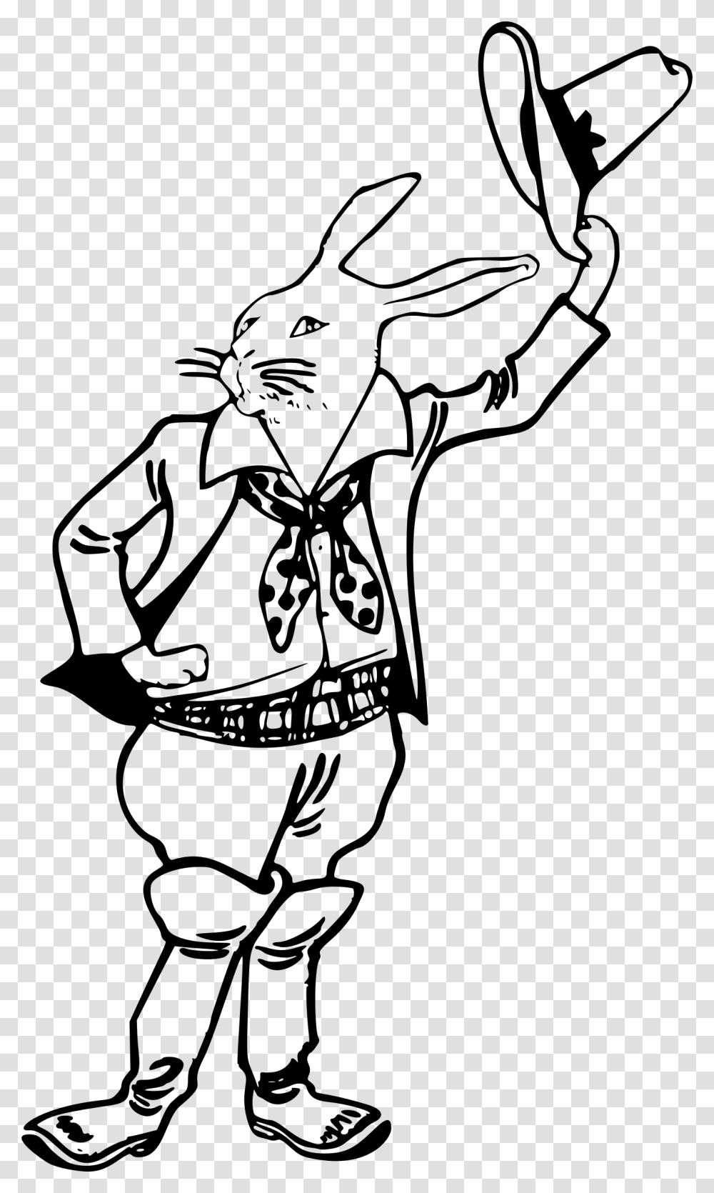 Rabbit Cowboy No Cigar Clip Art, Gray, World Of Warcraft Transparent Png