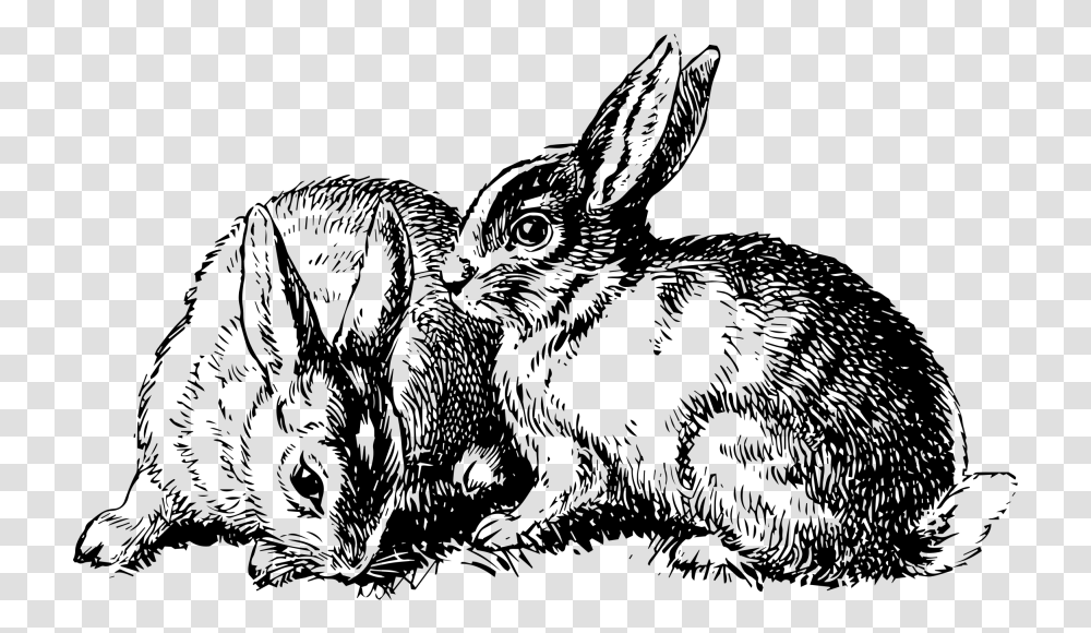 Rabbit Domestic Rabbit, Gray, World Of Warcraft Transparent Png