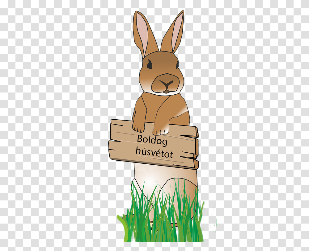 Rabbit Easter Bunny Free Picture, Mammal, Animal, Pet, Rodent Transparent Png