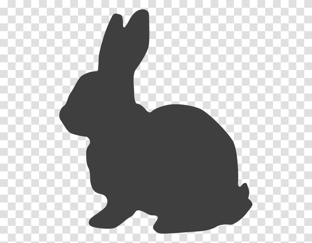 Rabbit Hare Bunny Easter Bunny Cottontail Black Bunny Clip Art, Animal, Rodent, Mammal, Person Transparent Png