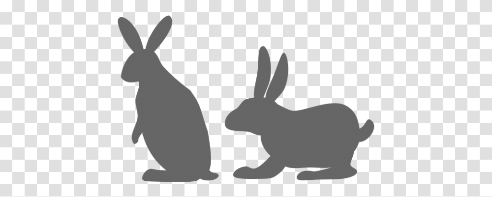 Rabbit Image Vector Example Image Hare, Mammal, Animal, Rodent, Bunny Transparent Png