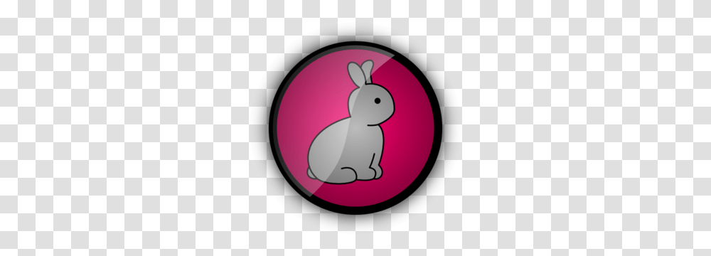 Rabbit Images Icon Cliparts, Hare, Rodent, Mammal, Animal Transparent Png