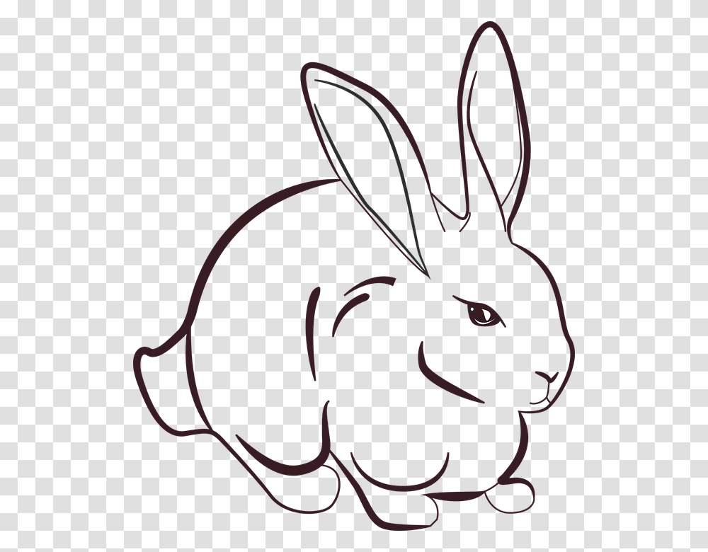 Rabbit Line Art, Rodent, Mammal, Animal, Hare Transparent Png