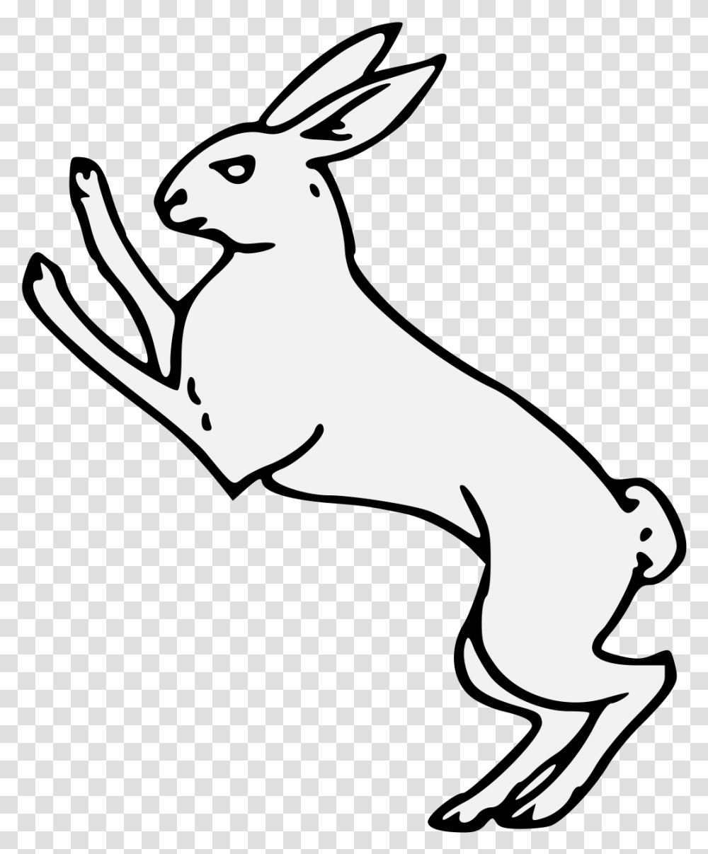 Rabbit, Mammal, Animal, Kangaroo, Wallaby Transparent Png