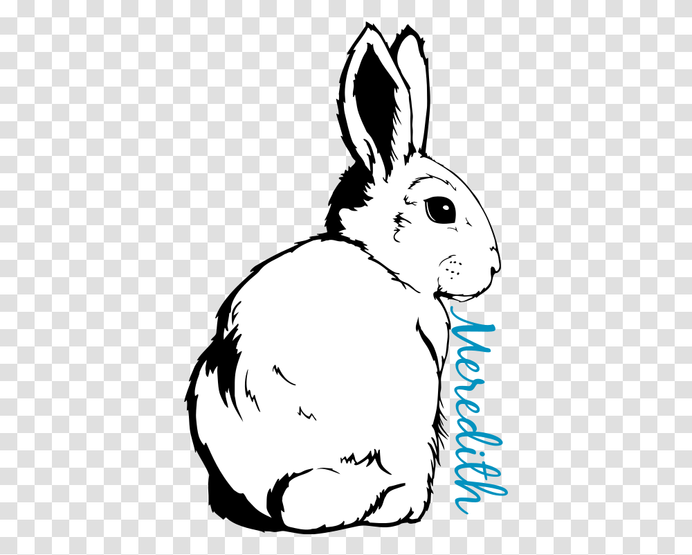 Rabbit Outline Domestic Rabbit, Mammal, Animal, Person, Human Transparent Png