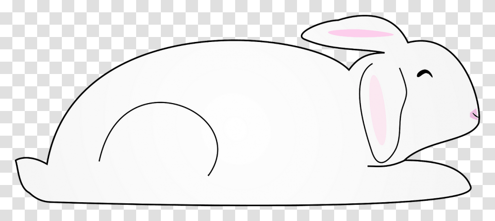 Rabbit, Pillow, Cushion, Oval, Volleyball Transparent Png