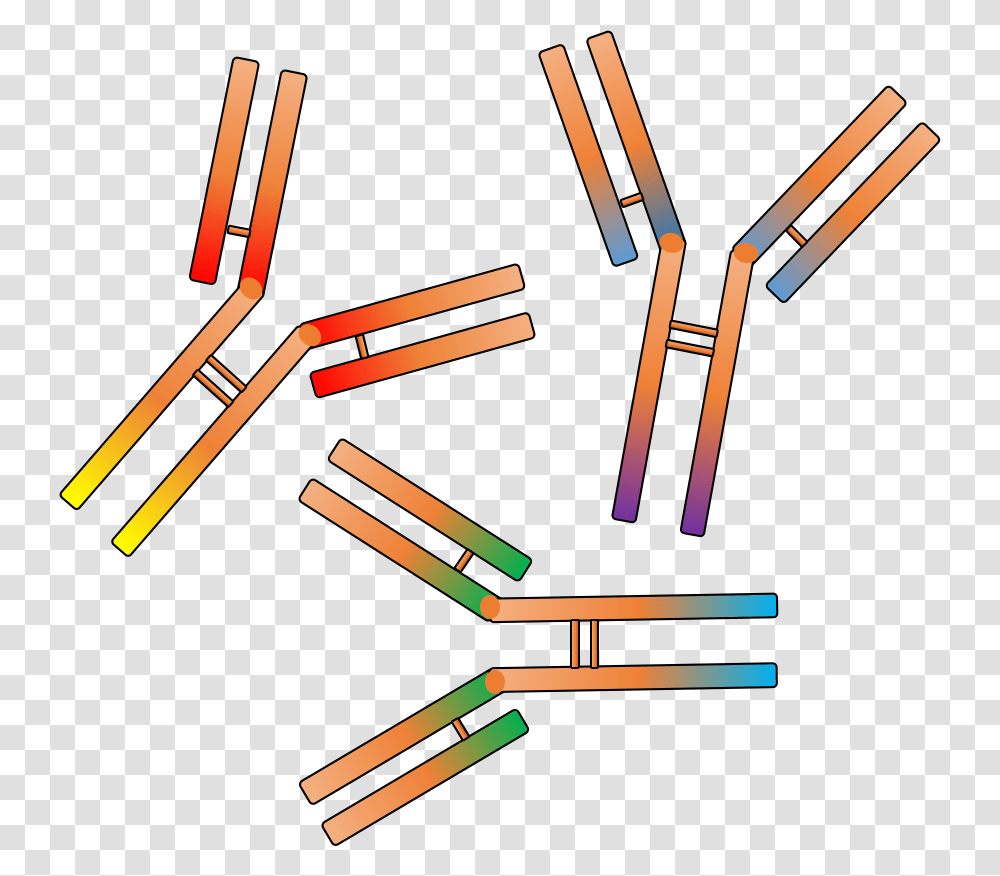 Rabbit Polyclonal Antibody Service Antibody Clipart, Label Transparent Png