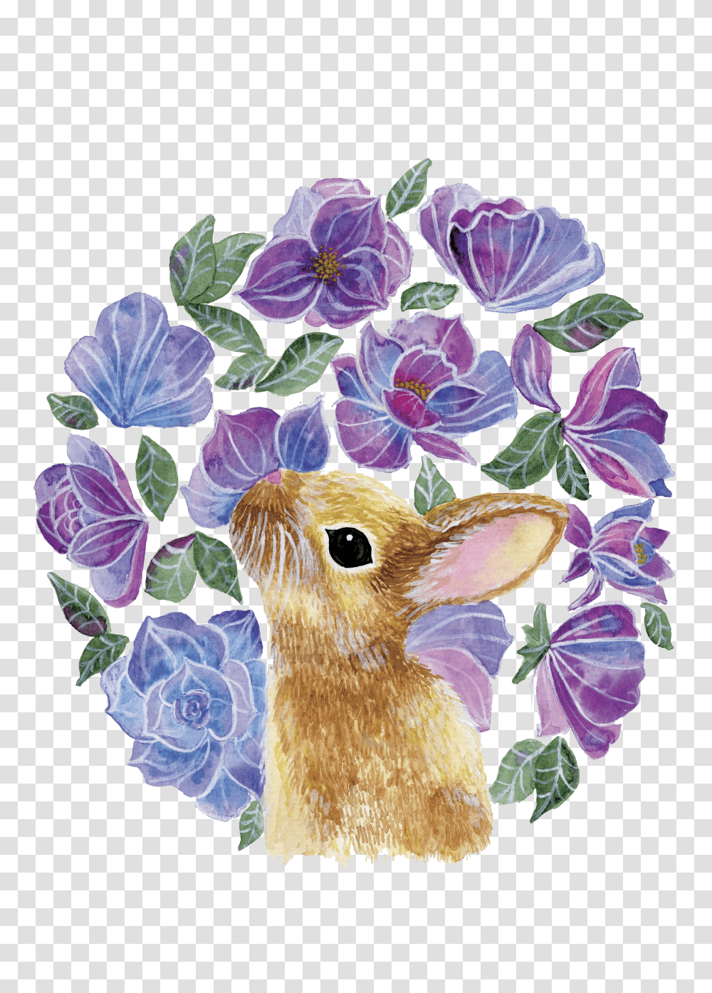 Rabbit Transparent Png