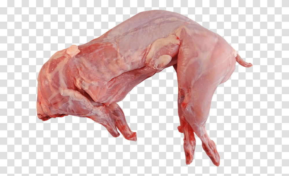 Rabbit Whole Raw Cooking Food Meat Uncooked Rabbit Meat, Animal, Hand, Finger, Skin Transparent Png