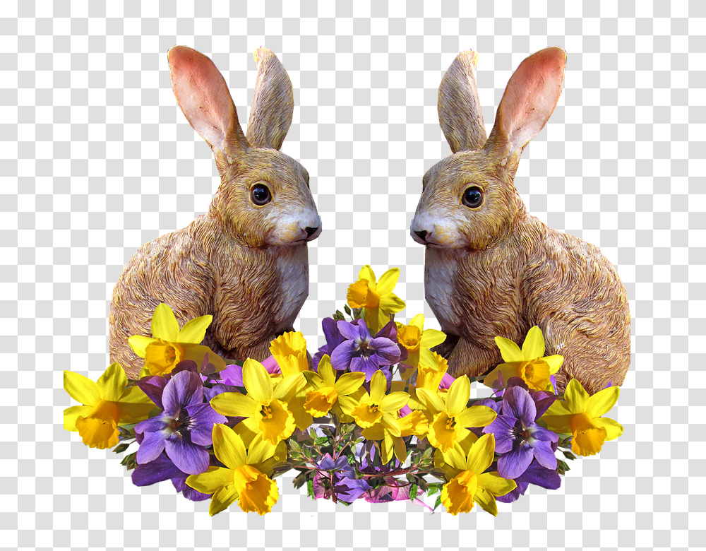 Rabbits 960, Flower, Hare, Rodent, Mammal Transparent Png