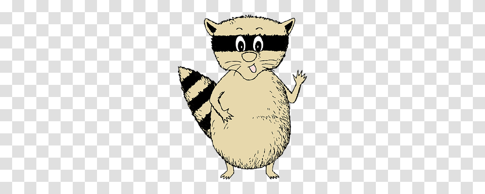 Raccoon Emotion, Mammal, Animal, Wildlife Transparent Png