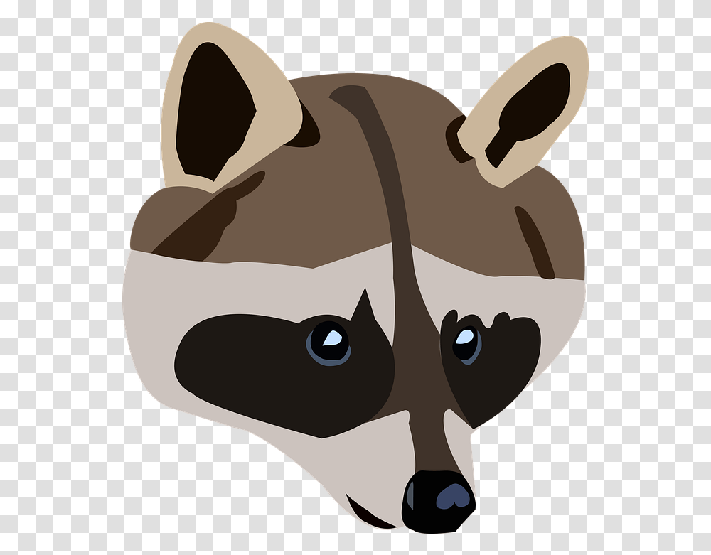 Raccoon Animal Wild Free Image On Pixabay Raccoon, Mammal, Wildlife Transparent Png
