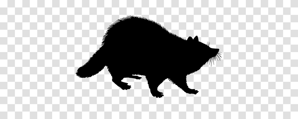 Raccoon Cartoon Funny Animal Character, Gray, World Of Warcraft Transparent Png