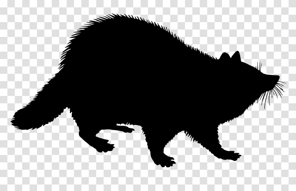 Raccoon Clip Art Hot Trending Now, Mammal, Animal, Silhouette, Dog Transparent Png