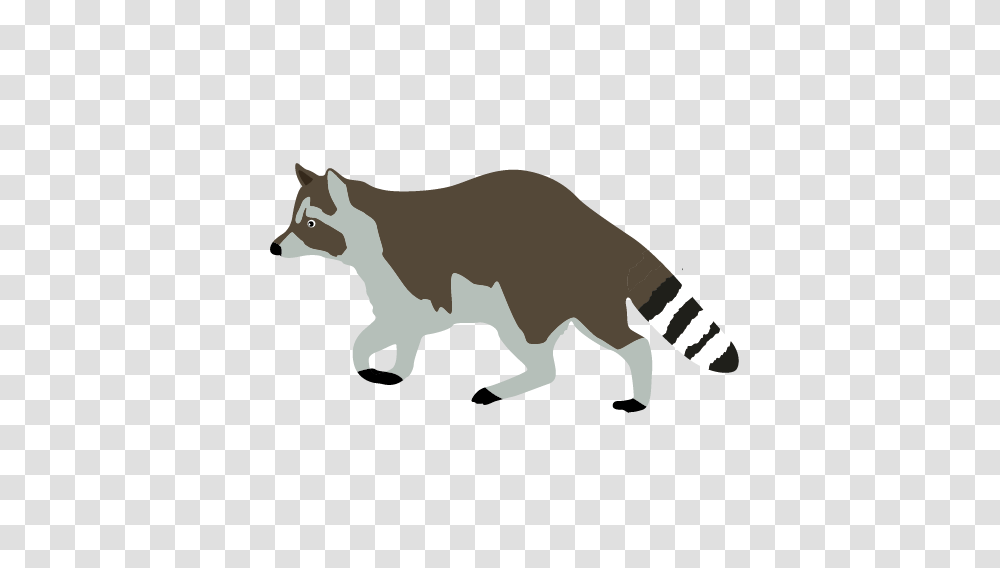 Raccoon Clip Art, Mammal, Animal, Stencil, Cat Transparent Png