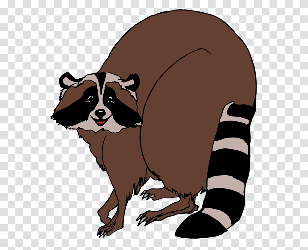 Raccoon Cliparts, Wildlife, Animal, Mammal, Lesser Panda Transparent Png