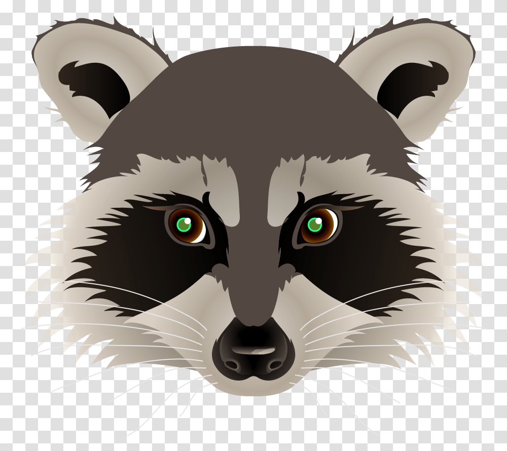 Raccoon Face 4 Image Raccoon Clipart, Mammal, Animal, Bird Transparent Png