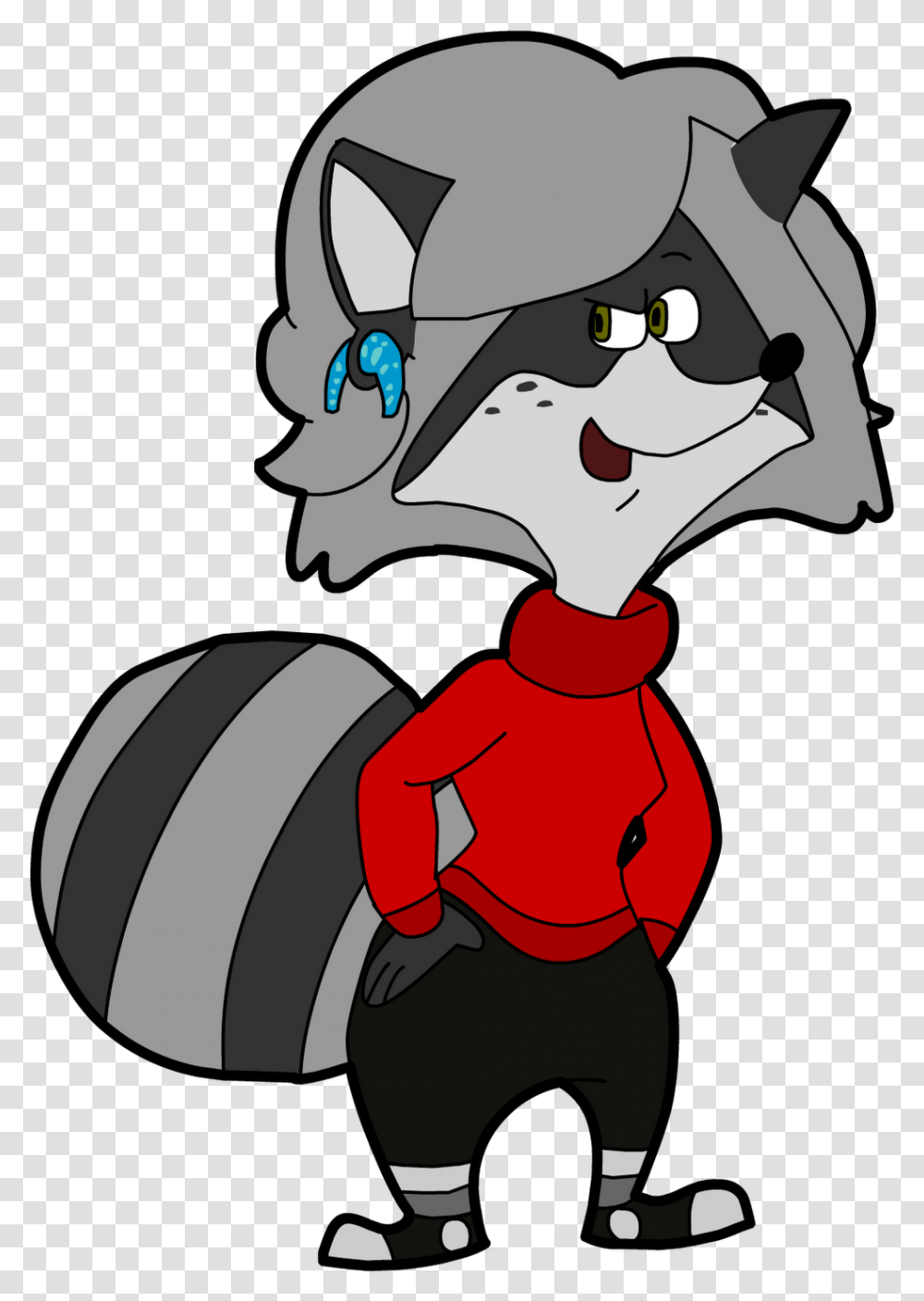 Raccoon, Sport, Sports Transparent Png