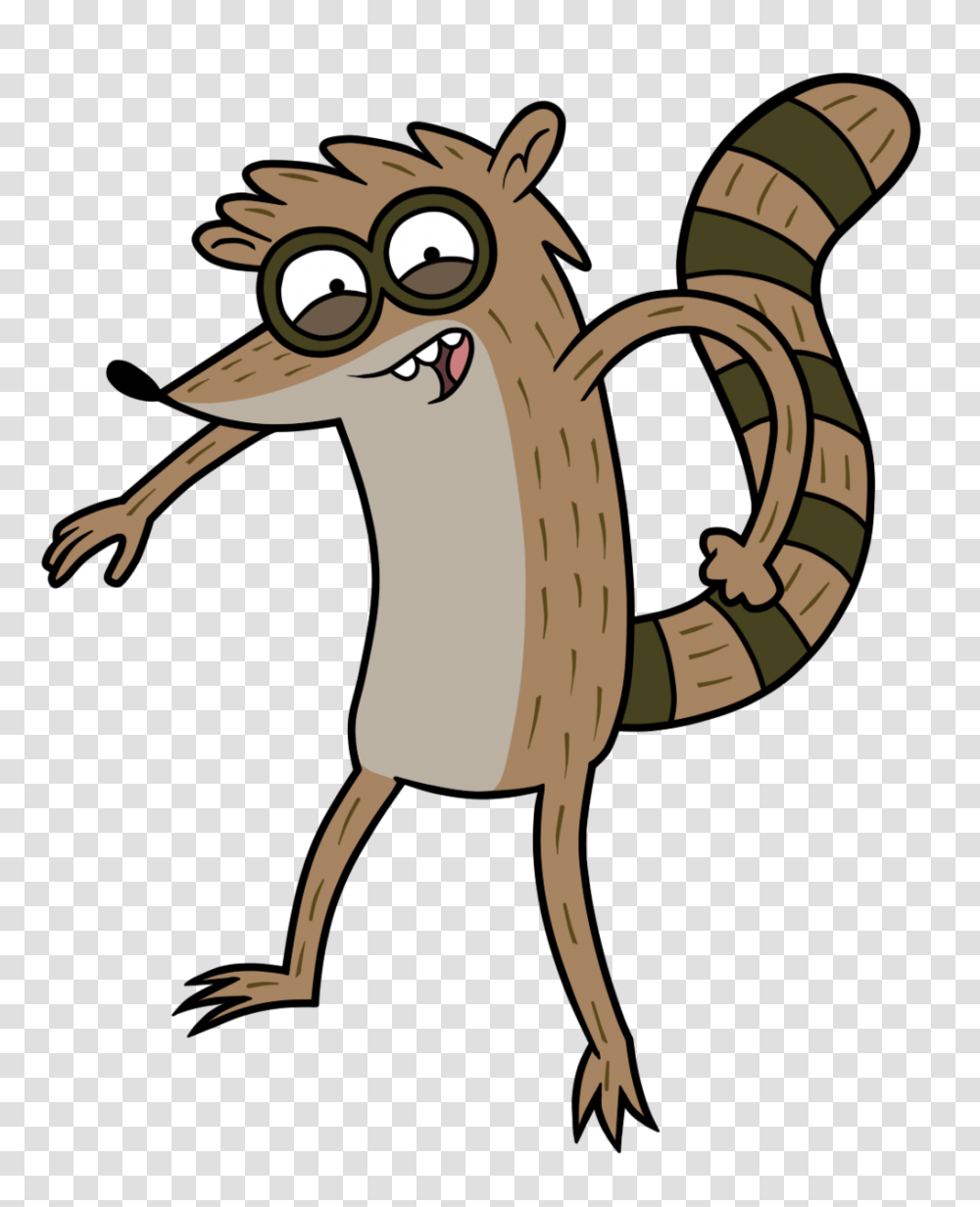 Raccoon Mascot, Wildlife, Animal Transparent Png