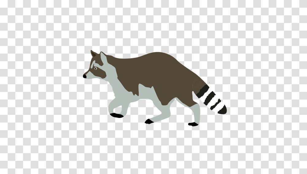 Raccoon Playing Cliparts, Mammal, Animal, Wildlife, Horse Transparent Png