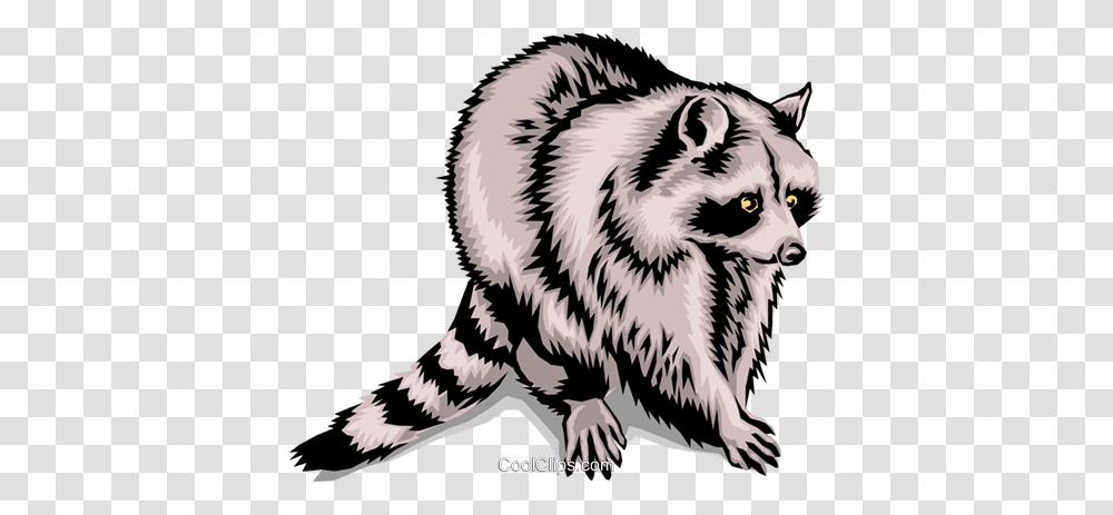 Raccoon Royalty Free Vector Clip Art Illustration, Animal, Mammal, Bird, Zebra Transparent Png