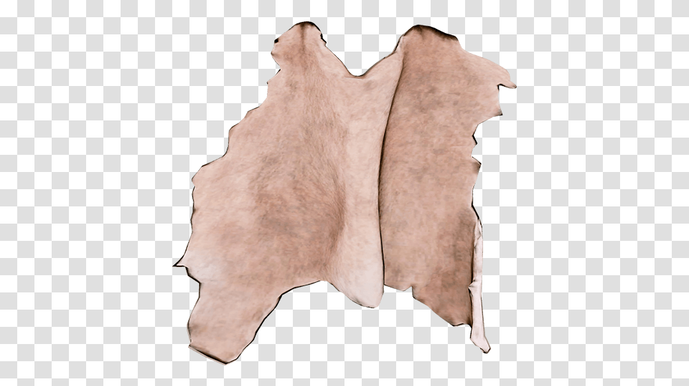 Raccoon Skin Official The Forest Wiki Drawing In Animal Skin, Pillow, Cushion, Art, Scroll Transparent Png