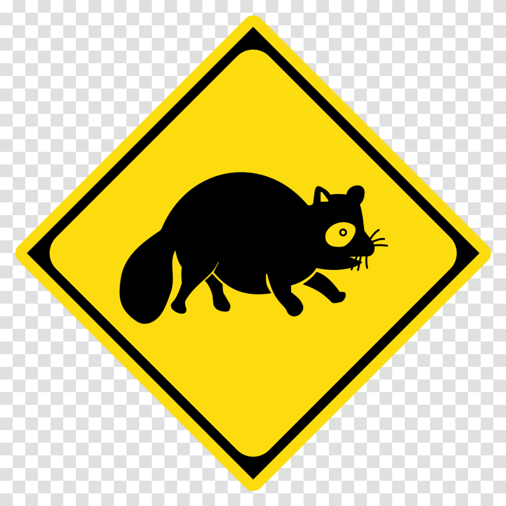 Raccoon, Road Sign, Cat, Pet Transparent Png