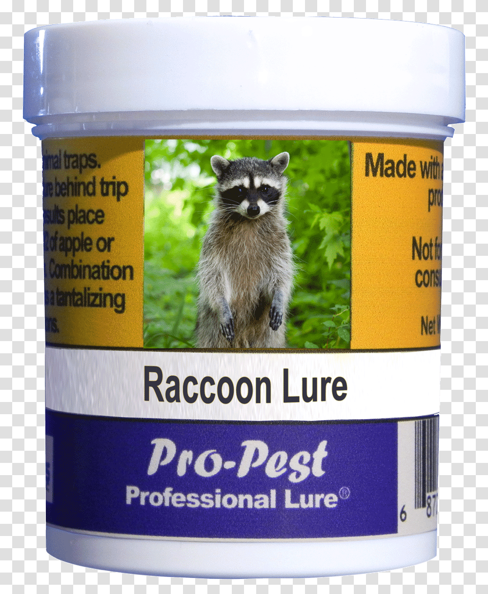 Raccoon, Tin, Can, Cat, Pet Transparent Png
