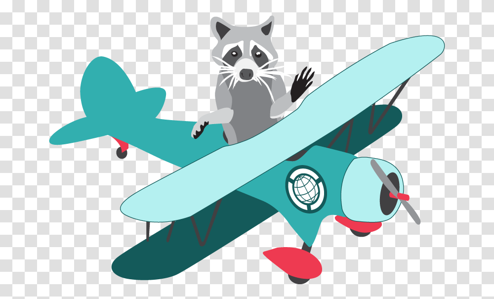 Raccoon Tps Biplane, Animal, Mammal, Cat, Pet Transparent Png