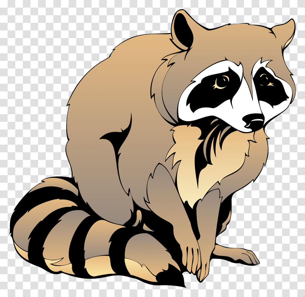 Raccoons Clipart, Mammal, Animal Transparent Png