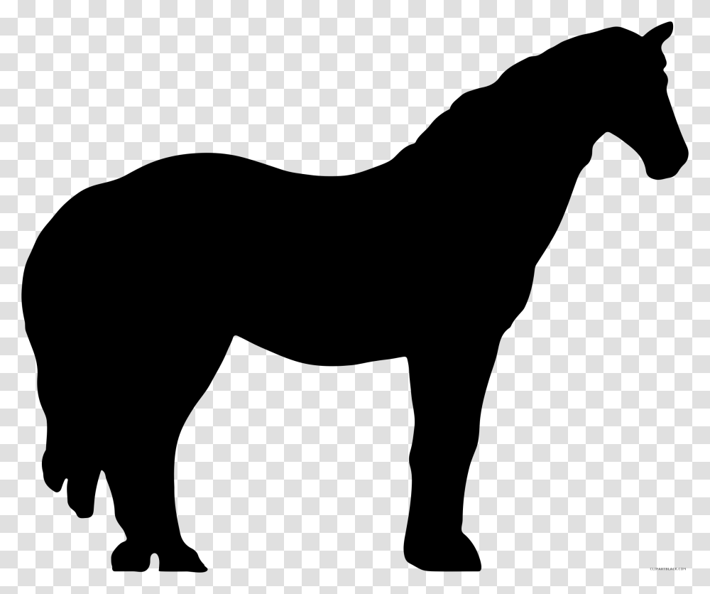 Race Horse, Gray, World Of Warcraft Transparent Png