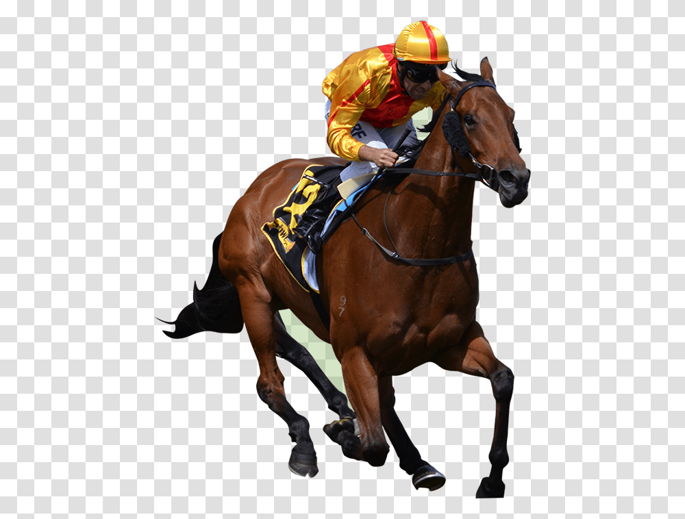 Race Horse Horse Racing, Mammal, Animal, Helmet Transparent Png