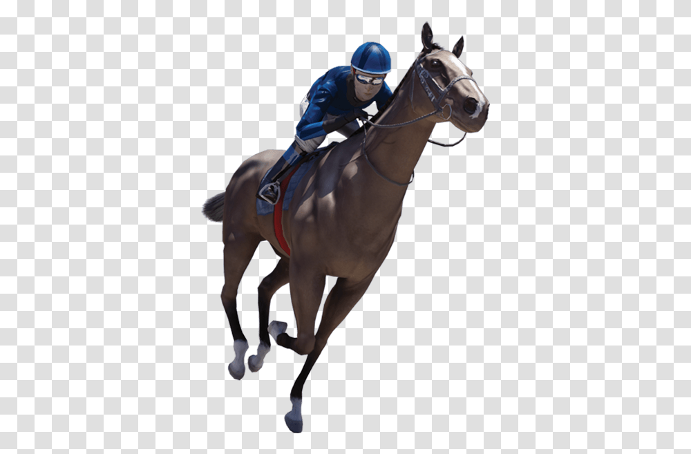 Race Horse, Mammal, Animal, Person, Human Transparent Png