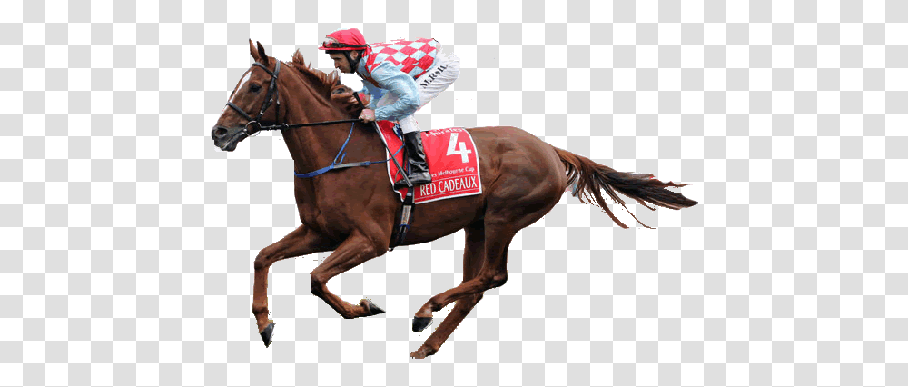 Race Horse, Mammal, Animal, Person, Human Transparent Png
