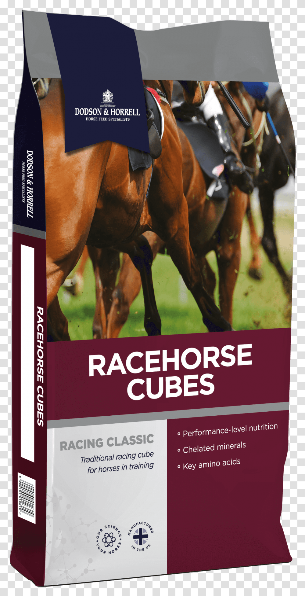Race Horse, Poster, Advertisement, Flyer, Paper Transparent Png
