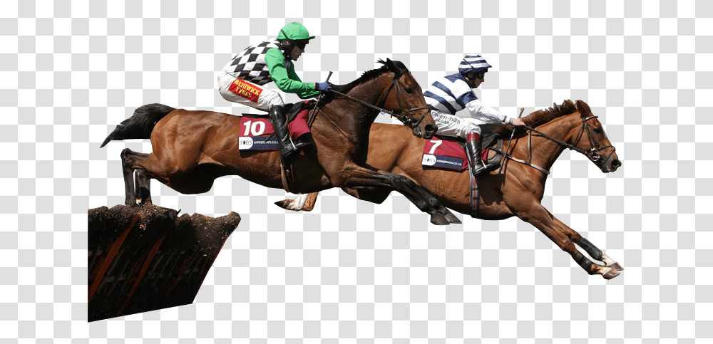 Racehorses Jumping Image Race Horse Background, Mammal, Animal, Person, Helmet Transparent Png