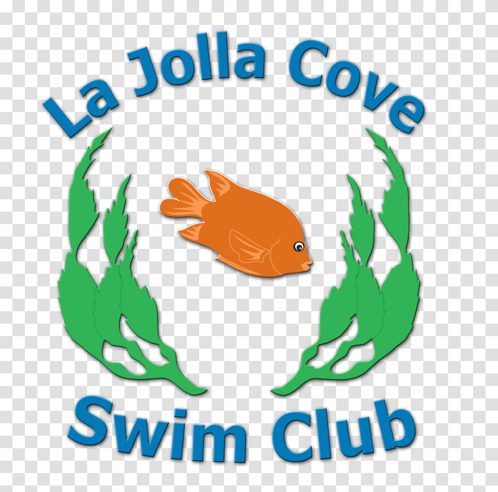 Racewire La Jolla Cove Swim Club Pier To Cove Swim, Label, Logo Transparent Png