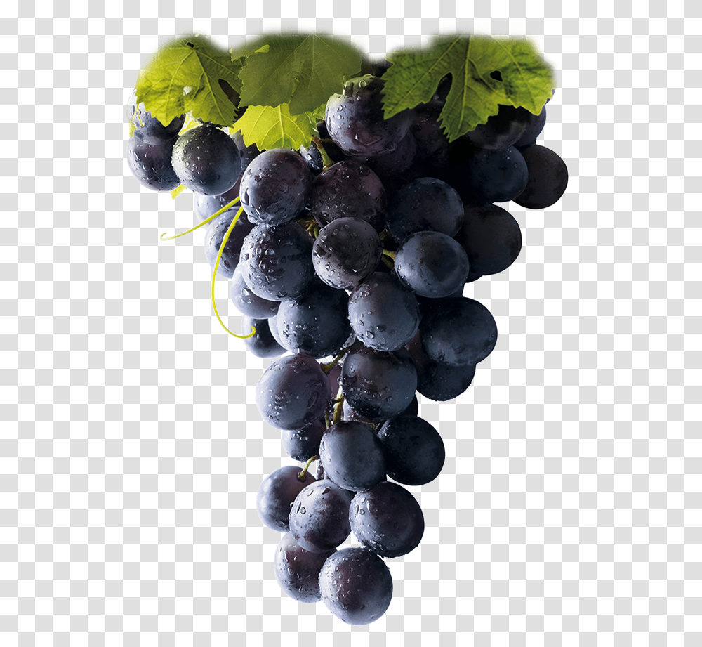 Racimo Uva Vino Tinto Red Grapes, Plant, Fruit, Food, Pineapple Transparent Png