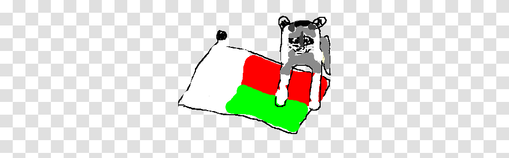 Racoon On Flag Of Madagascar, Person, Human, Lifejacket Transparent Png