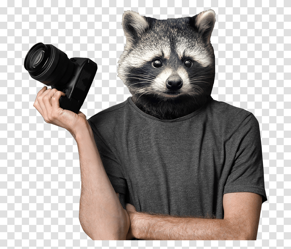 Racoon Stock Raccoon Photographer, Person, Human, Mammal, Animal Transparent Png