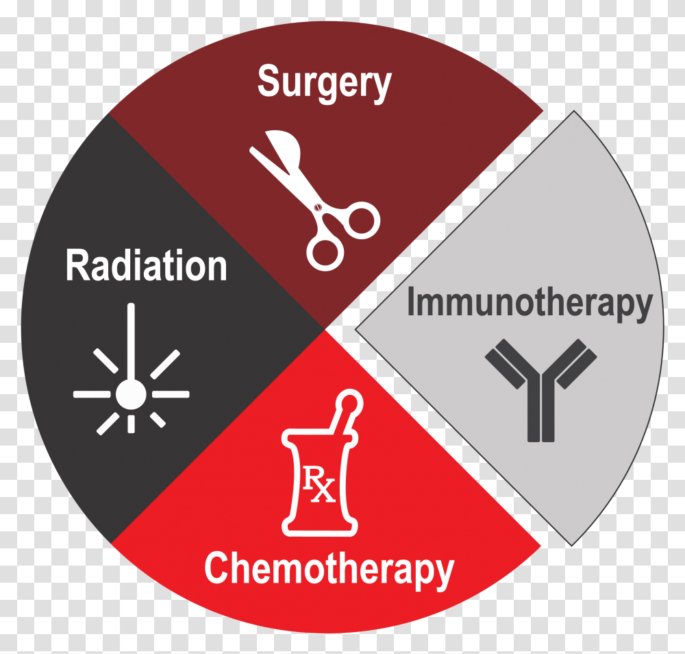 Radiation Chemotherapy Surgery Immunotherapy, Label, Advertisement, Poster Transparent Png