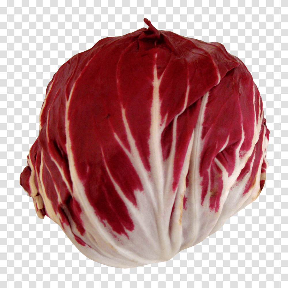 Radicchio Image, Vegetable, Plant, Food, Cabbage Transparent Png