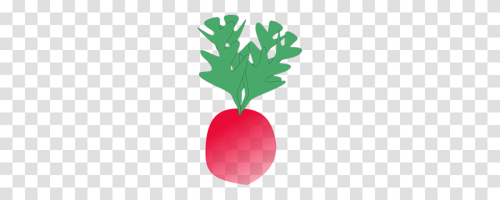 Radish Nature, Leaf, Plant, Vegetable Transparent Png